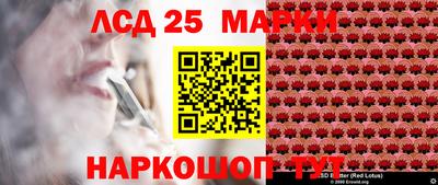 МДПВ Кингисепп