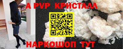МДПВ Кингисепп