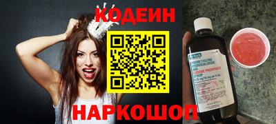 МДПВ Кингисепп