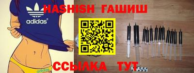 МДПВ Кингисепп