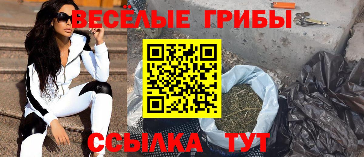 где продают наркотики  Вход с VPN  Горно-Алтайск  Галлюциногенные грибы Magic Shrooms  Псилоцибиновые грибы MAGIC MUSHROOMS 